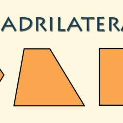 Quadrilaterals maths studying daydreameducation 儲存自 gcse